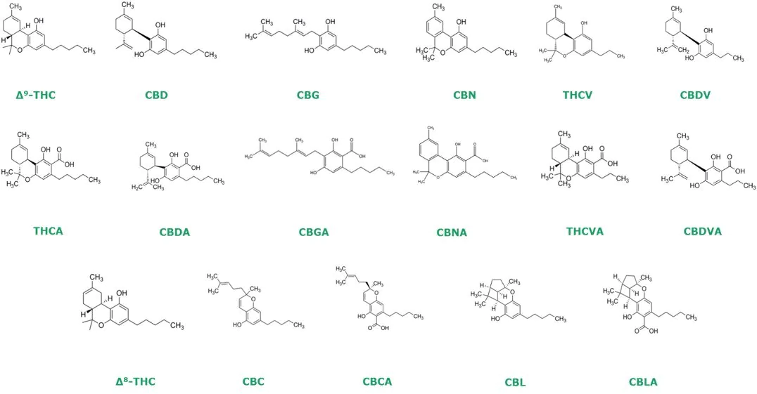 Cannabinoid Molecular Structure